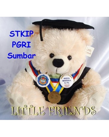 Boneka Wisuda STKIP PGRI Sumbar (30 cm)